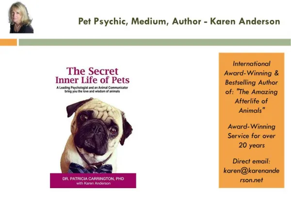 Animal Psychic, Animal Communication Tips