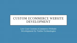 Magento based custom eCommerce Website Development Services - slide 1