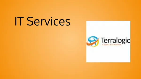 Terralogic IT Services