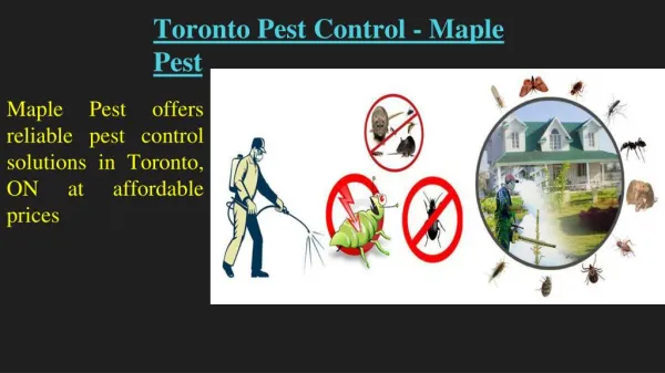 Toronto Pest Control Services