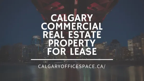 Calgary Commercial Real Estate property for lease