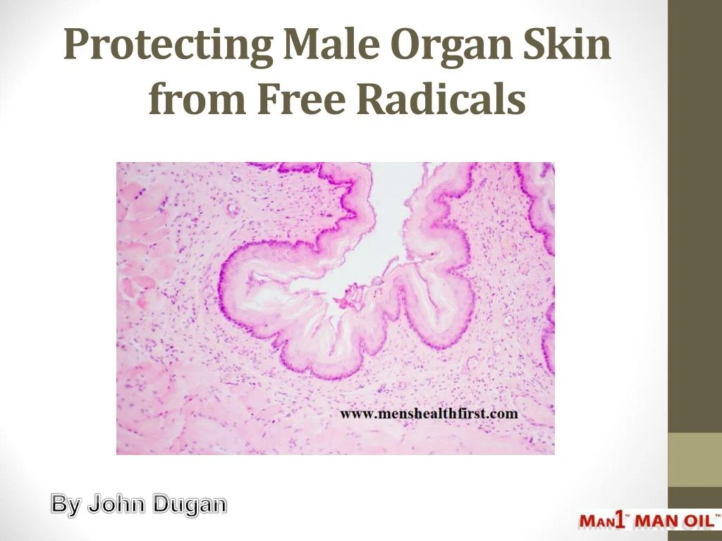 protecting male organ skin from free radicals