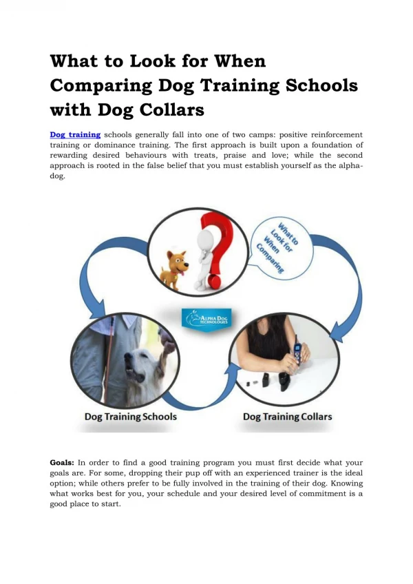 What to Look for When Comparing Dog Training Schools with Dog Collars