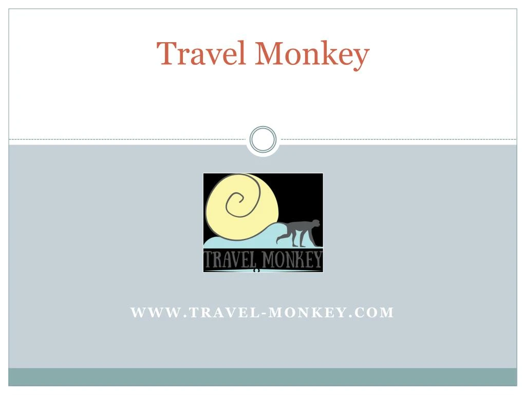 travel monkey