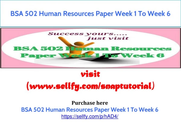 BSA 502 Human Resources Paper Week 1 To Week 6