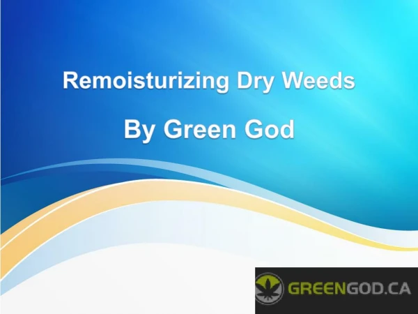 Remoisturizing Dry Weeds