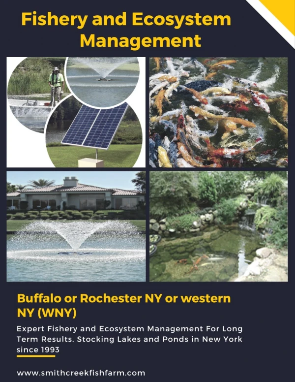 Fishery and Ecosystem Management - New York