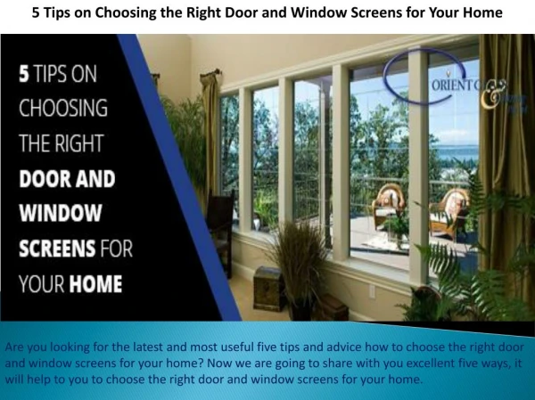 5 Tips on Choosing the Right Door and Window Screens for Your Home
