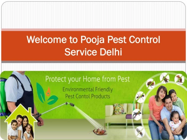Pooja Pest Control Service in Delhi