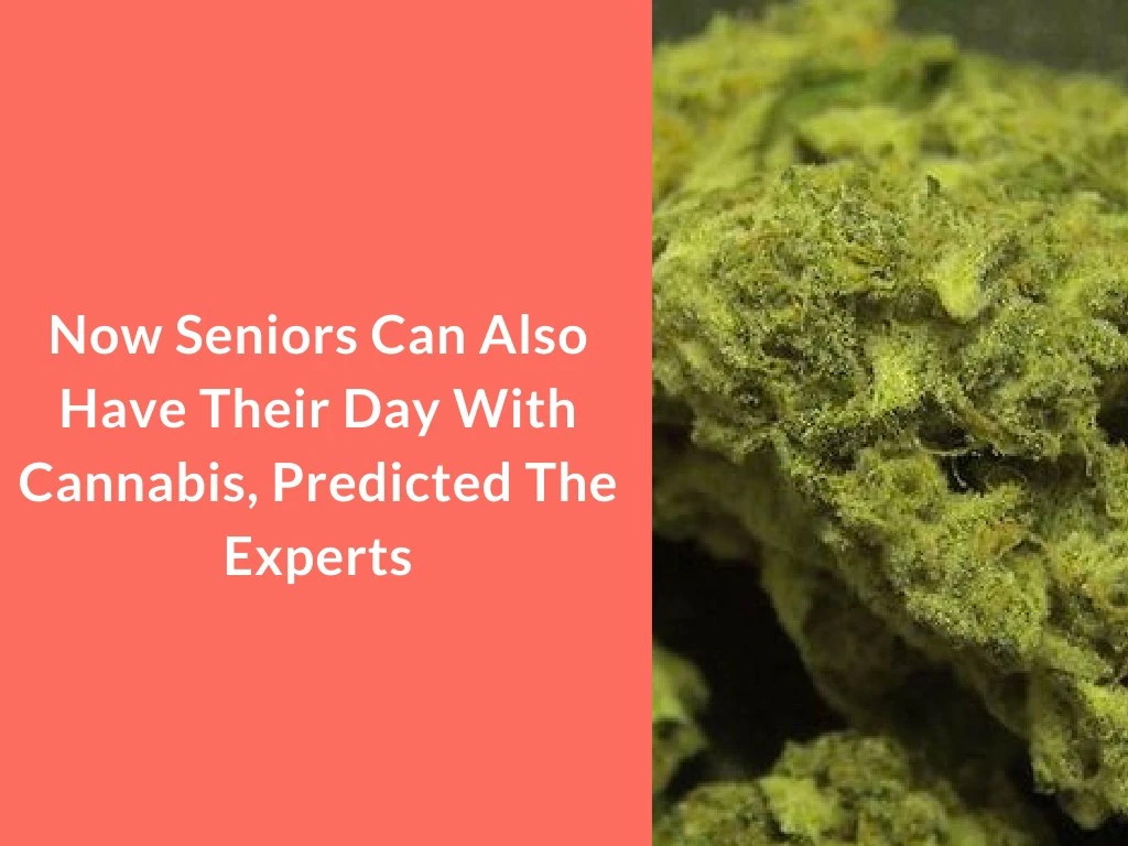 now seniors can also have their day with cannabis