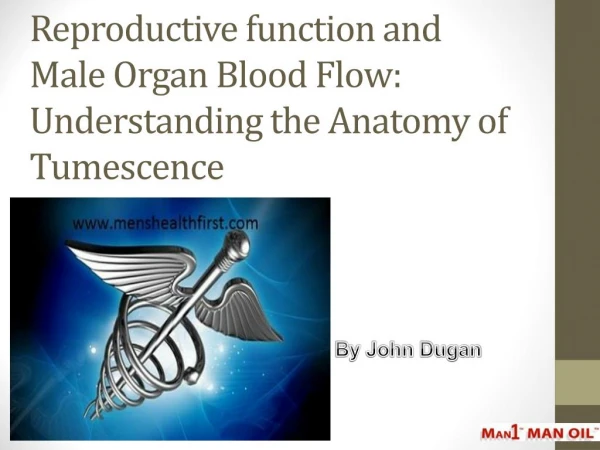 Reproductive function and Male Organ Blood Flow: Understanding the Anatomy of Tumescence