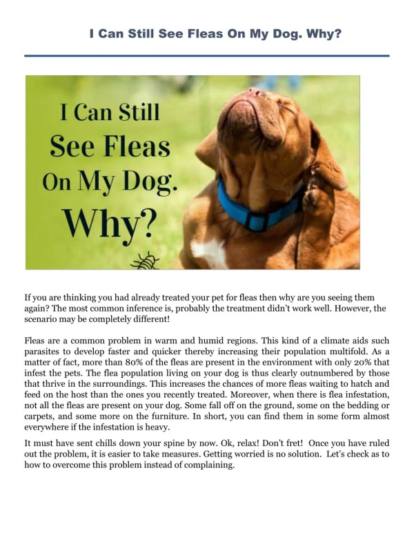 Why i can see flea on my dogs after treatment?