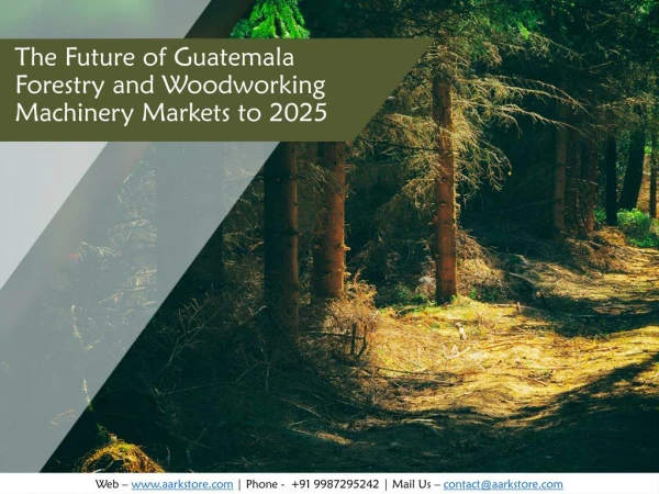 Guatemala Forestry and Woodworking Machinery Markets to 2025 | Market Research Reports