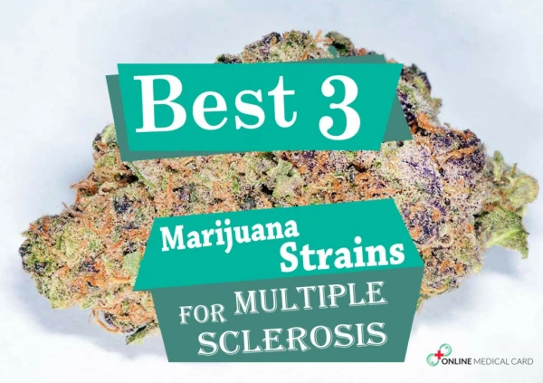 Best 3 Marijuana Strains for Multiple Sclerosis