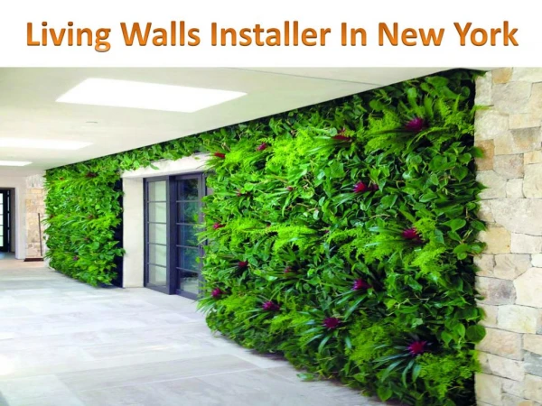 New York Living Wall Installers