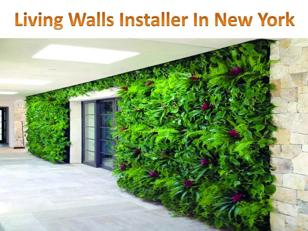 living walls installer in new york