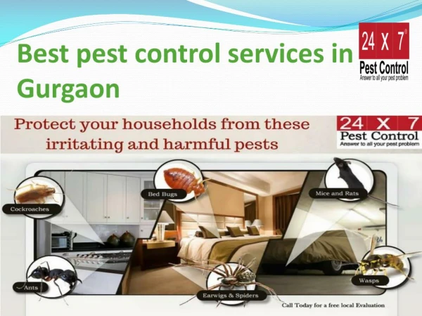 24x7 Pest Control Services