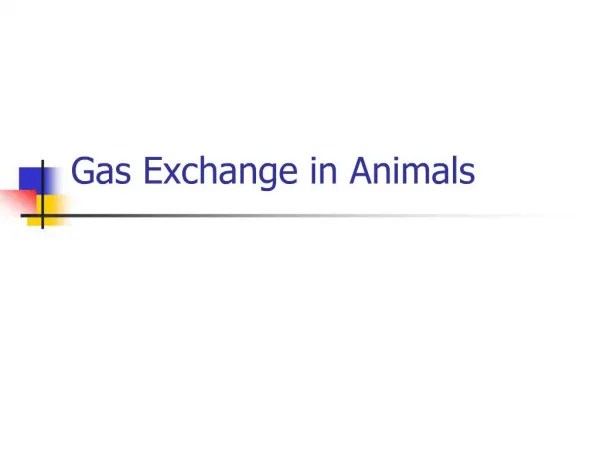 Gas Exchange in Animals