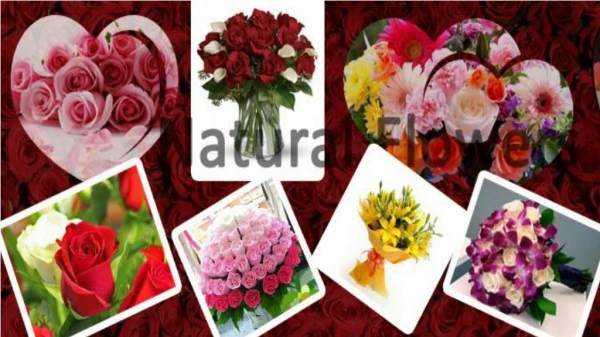 Online Flowers Delivery in Chandigarh