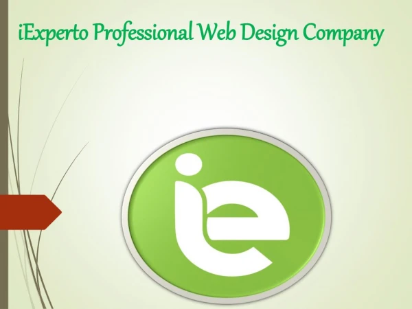 iExperto Professional Web Design Company