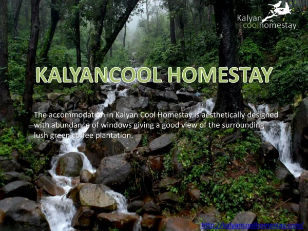 Holiday Homes in Chikmagalur