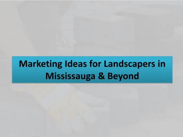 Marketing Ideas for Landscapers in Mississauga & Beyond