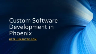 Custom Software Development Phoenix - slide 1