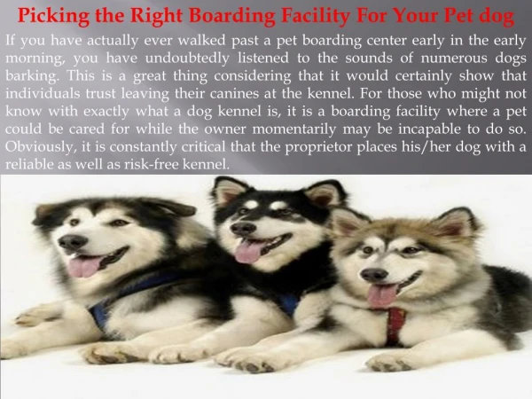 Picking the Right Boarding Facility For Your Pet dog