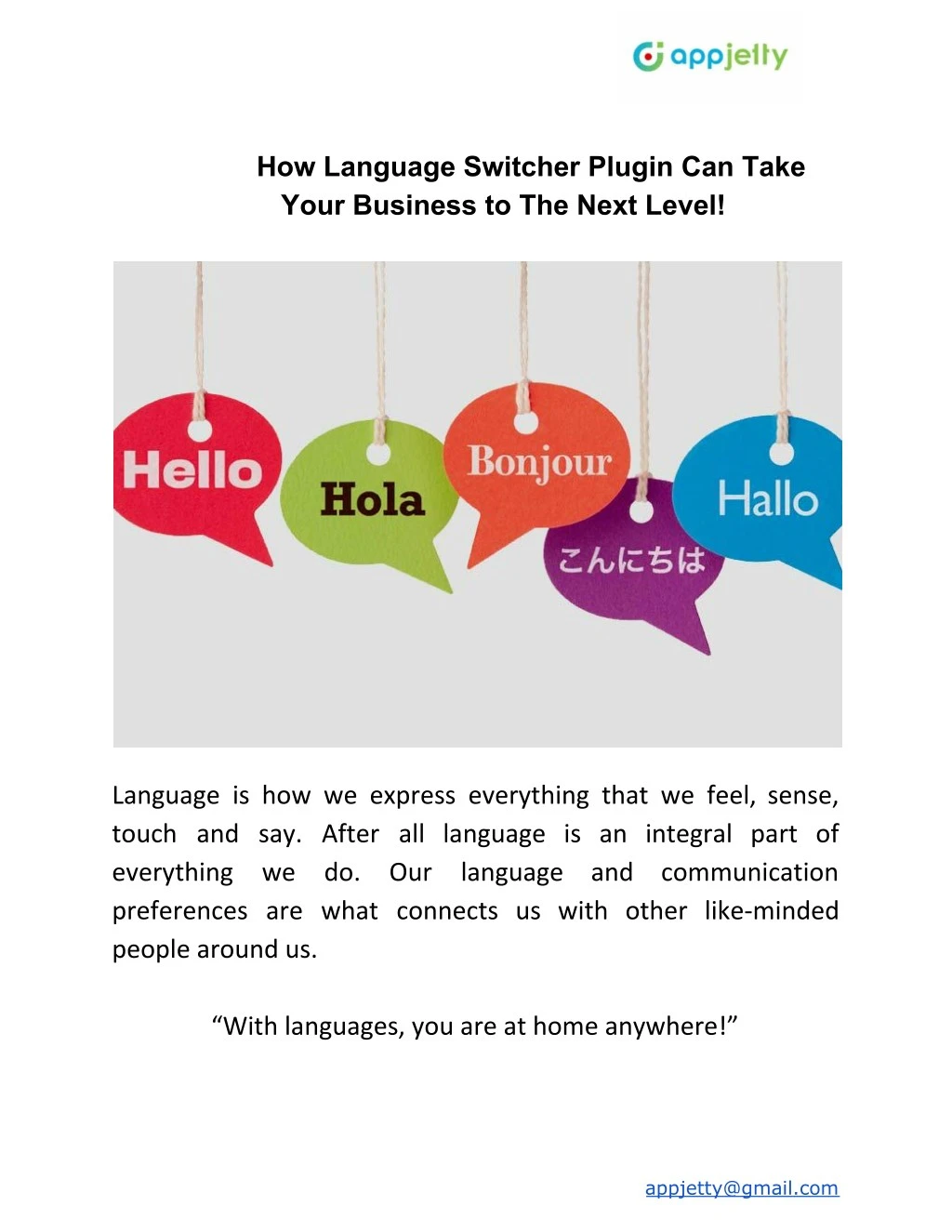 how language switcher plugin can take your