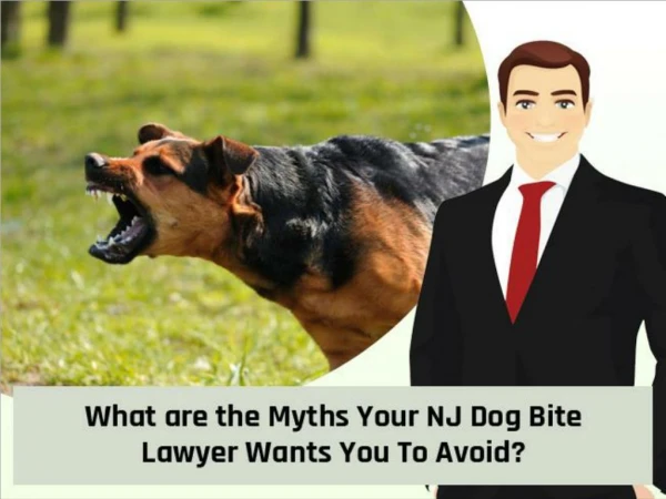 What are the Myths Your NJ Dog Bite Lawyer Wants You To Avoid?
