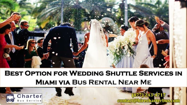 Best Option for Wedding Shuttle Services in Miami via Miami charter bus rental