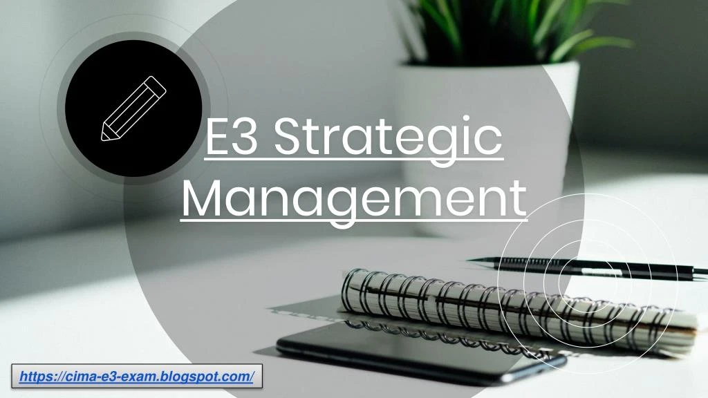 e3 strategic management