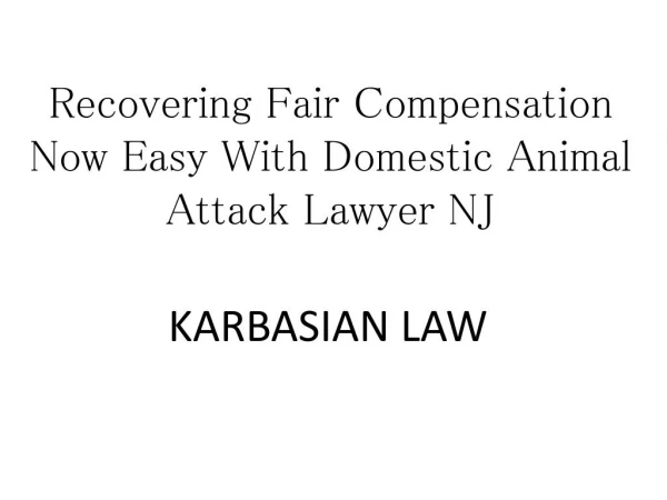 Recovering Fair Compensation Now Easy With Domestic Animal Attack Lawyer NJ