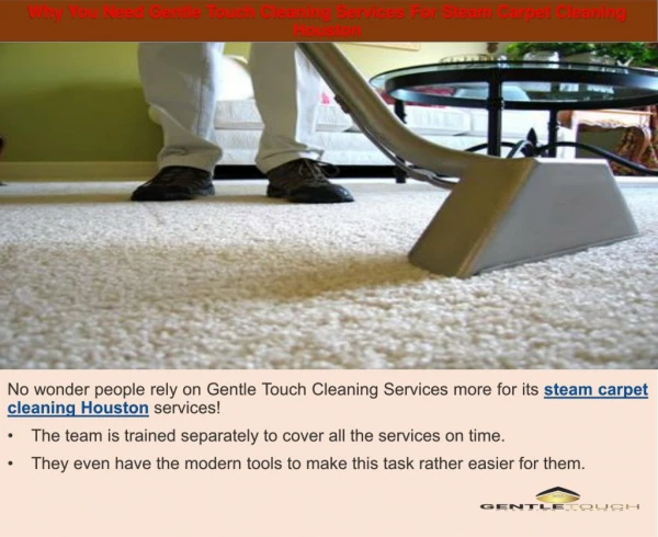 Why You Need Gentle Touch Cleaning Services For Steam Carpet Cleaning Houston