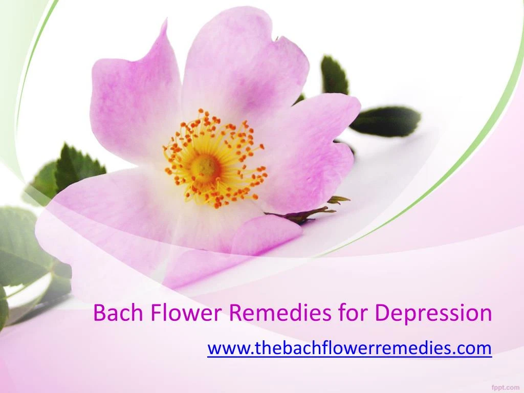 bach flower remedies for depression