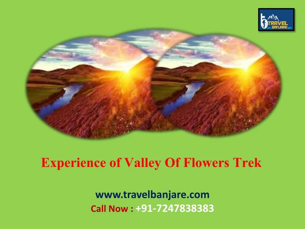 experience of valley of flowers trek