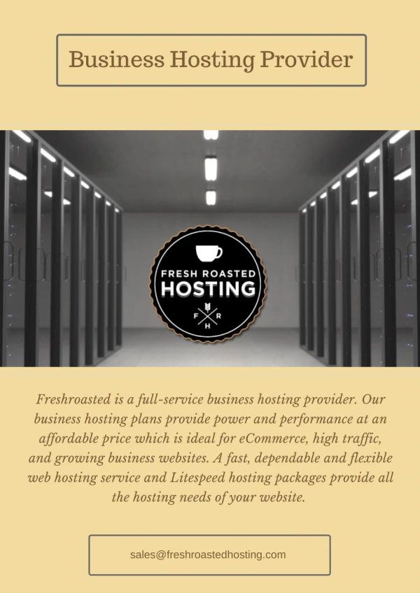 Business Hosting Provider