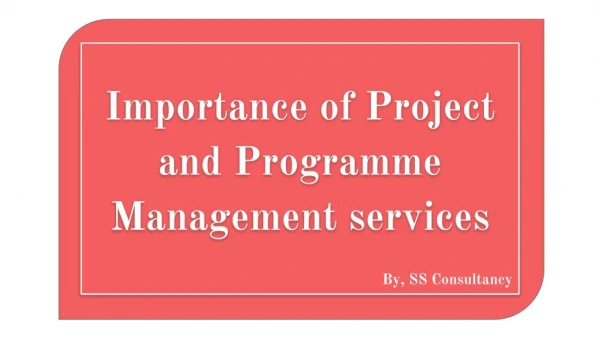 Portfolio and Programme Management services | SS&Co