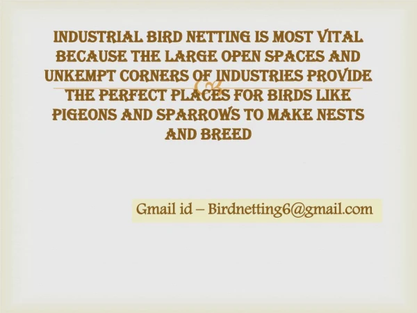 Bird netting have rigidity, tensile strength, fire resistance and durability, Bird proofing solutions