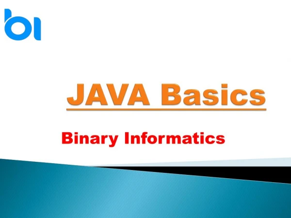 Java language basics