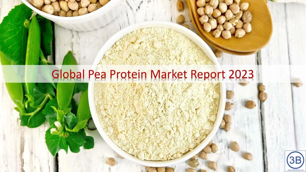 global pea protein market report 2023