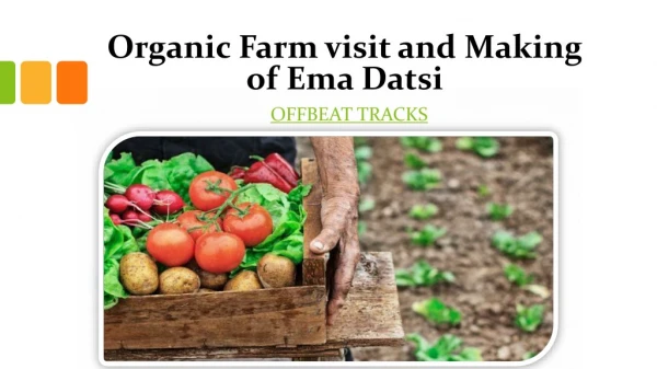 Organic Farm visit and Making of Ema Datsi