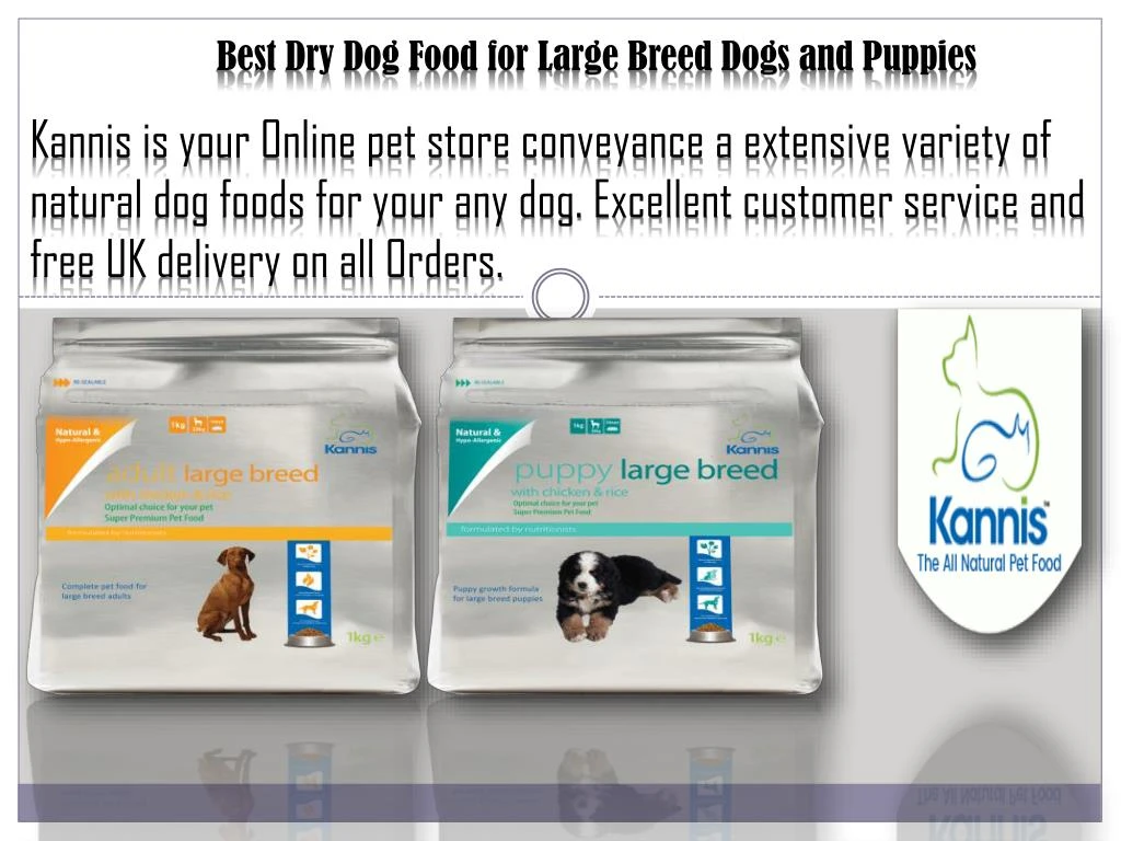 best dry dog food for large breed dogs and puppies