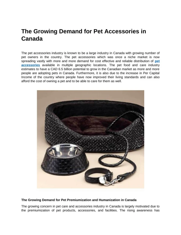 The Growing Demand for Pet Accessories in Canada
