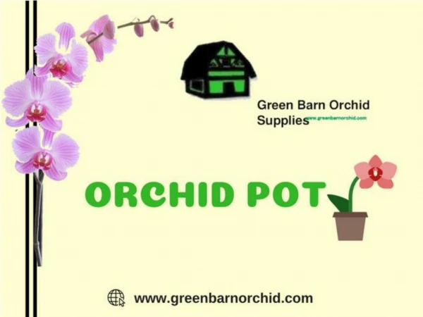 Buy Orchid Pot at best price in Florida-Green Barn Orchid Supplies