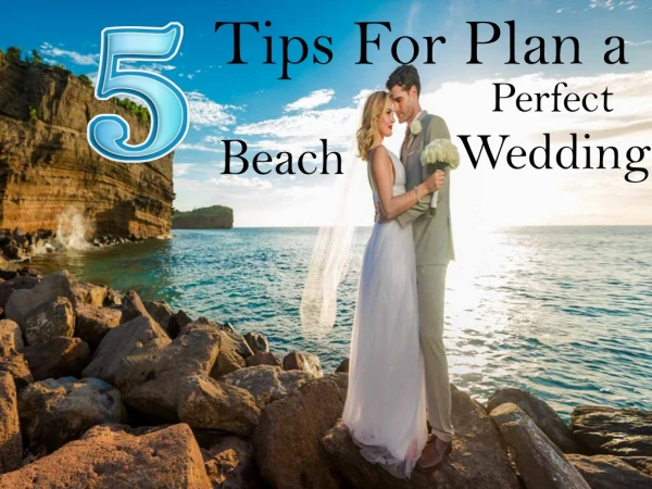 Guide to Planning the Perfect Beach Wedding | Weddings by Beasley's Floral