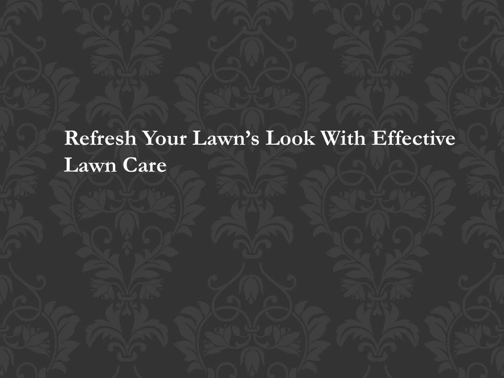 refresh your lawn s look with effective lawn care