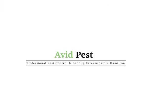Pest Control Company Hamilton