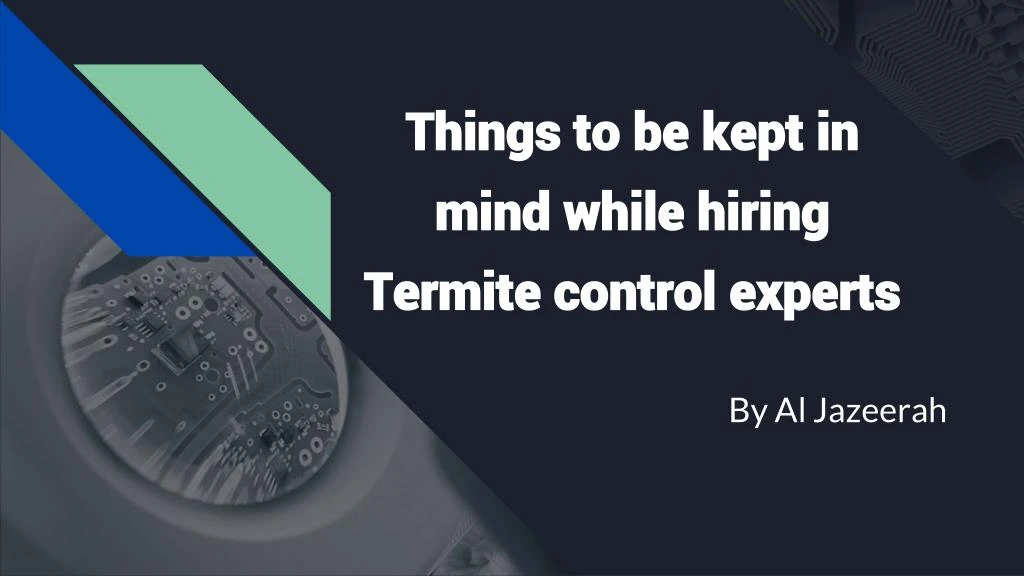 things to be kept in mind while hiring termite control experts