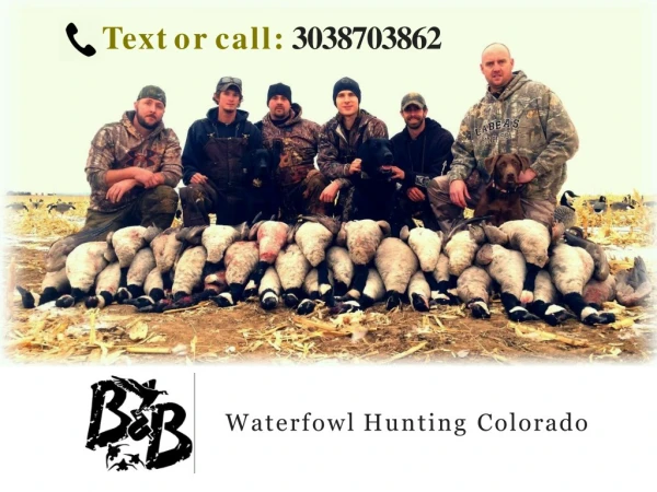 Goose Hunting In Colorado